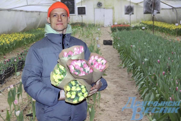 Житель Брестской области рассказал секреты выращивания тюльпанов Житель Брестской области рассказал секреты выращивания тюльпанов