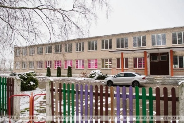 Травка с прилавка: Как выращивают микрозелень в Брестской области