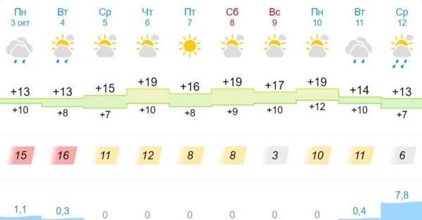 На ближайшие сутки по Бресту и области объявлен оранжевый уровень из-за ветра На ближайшие сутки по Бресту и области объявлен оранжевый уровень из-за ветра