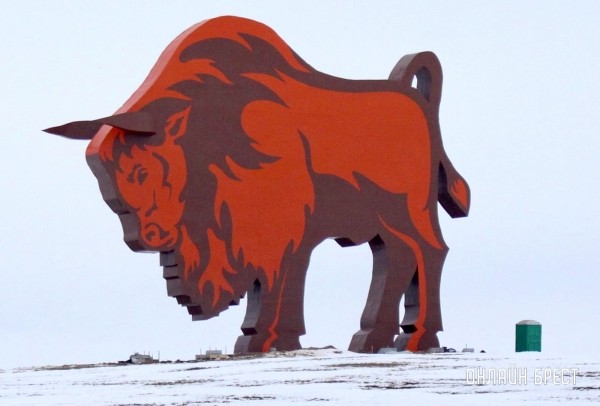 Красиво! Посмотрите, как выглядит зубр на трассе М1 после реставрации