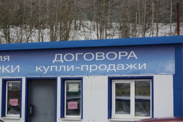 Перекупы-нелегалы выживут, а мелкие автохаусы и ИП — нет? Как участники авторынка оценивают новые правила торговли «бэушкой»