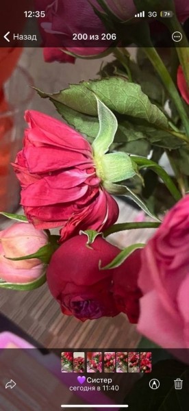 «Вялые и засохшие цветы — это норма?» Разбираемся, можно ли вернуть деньги за плохой букет «Вялые и засохшие цветы — это норма?» Разбираемся, можно ли вернуть деньги за плохой букет