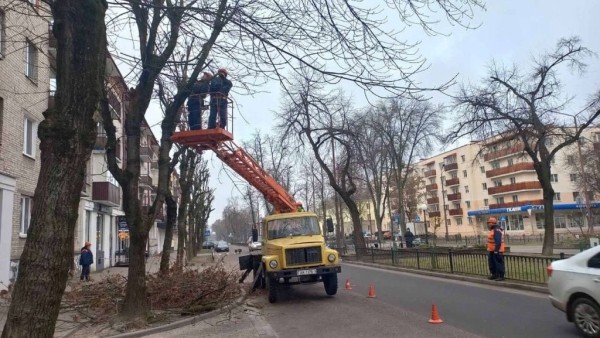 В Бресте проводят плановую обрезку деревьев для их роста, развития и поддержания формы кроны В Бресте проводят плановую обрезку деревьев для их роста, развития и поддержания формы кроны