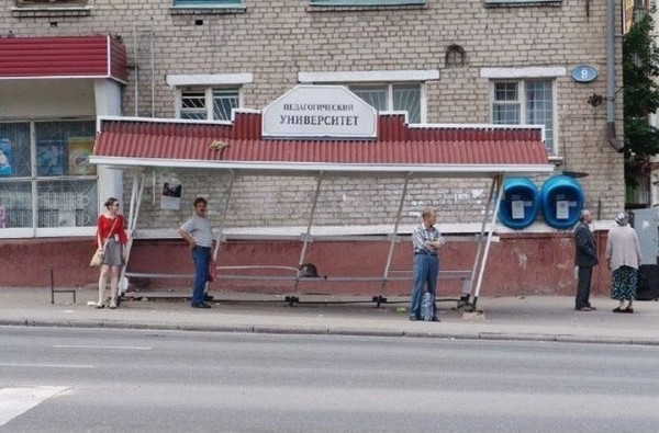 20 примеров того, что строительство не всегда подчиняется человеческой логике 20 примеров того, что строительство не всегда подчиняется человеческой логике