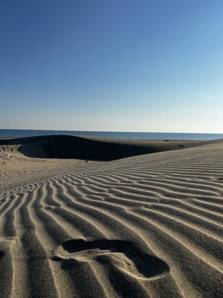 В Турцию через Европу на автомобиле. Белорусы о затратах на топливо и нюансах поездки