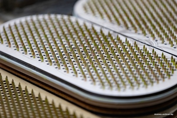 Жена чертит, муж сверлит, теща забивает гвозди. Белорусы взяли в долг $600 и открыли очень необычный бизнес Жена чертит, муж сверлит, теща забивает гвозди. Белорусы взяли в долг $600 и открыли очень необычный бизнес