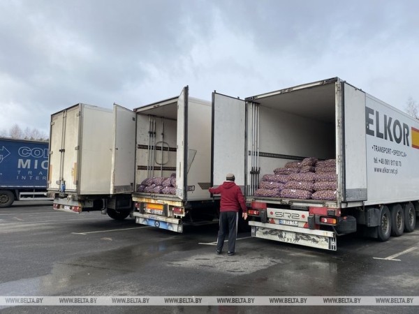 Водители из разных стран рассказали о проблемах на границе