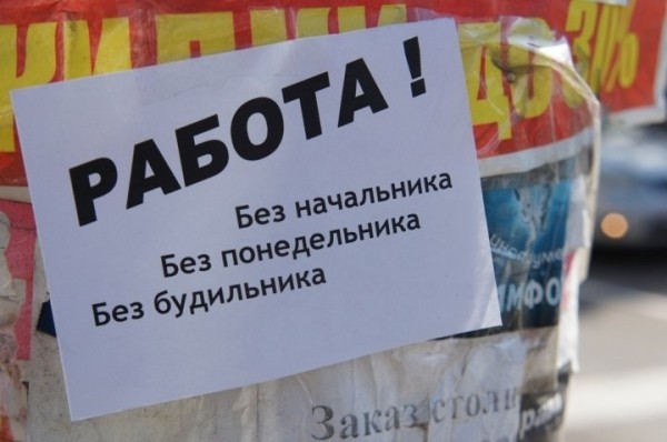 Топ необычных вакансий в Беларуси и мире: кого ищут и сколько готовы платить