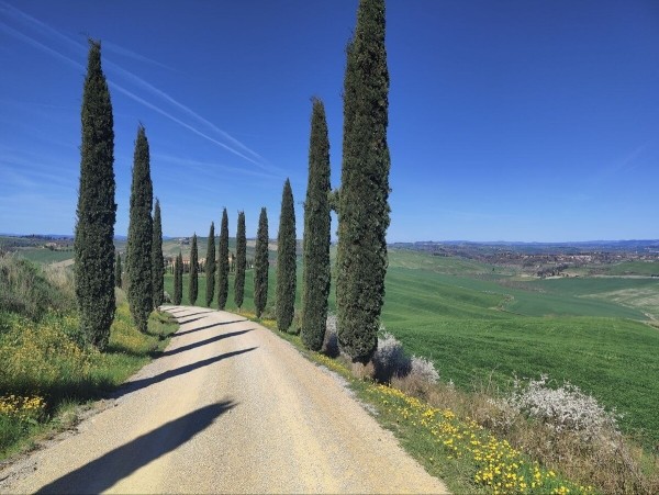 «На подготовку машины ушло почти 5 тысяч рублей». Семья из Беларуси рискнула поехать в Италию на стареньком автомобиле