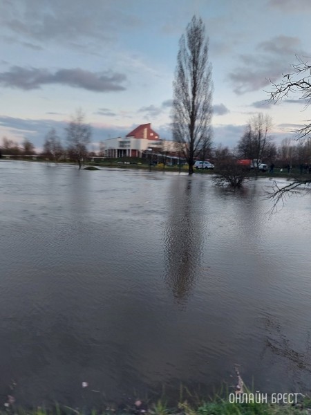 В связи с порывом водопровода в районе ЦМТ произошло временное снижение давления в сети холодного водоснабжения В связи с порывом водопровода в районе ЦМТ произошло временное снижение давления в сети холодного водоснабжения