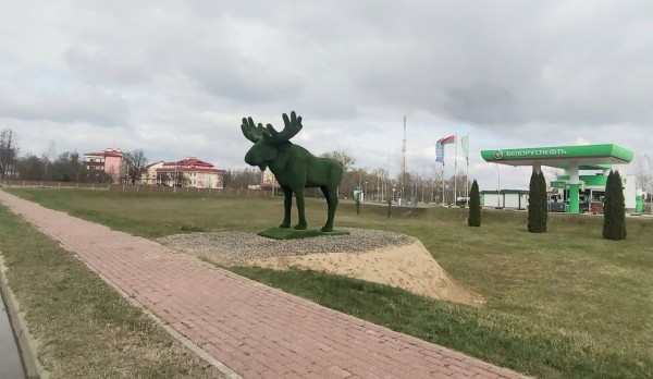 На въезде в агрогородок Каменюки появилась топиарная фигура лося из искусственной травы На въезде в агрогородок Каменюки появилась топиарная фигура лося из искусственной травы