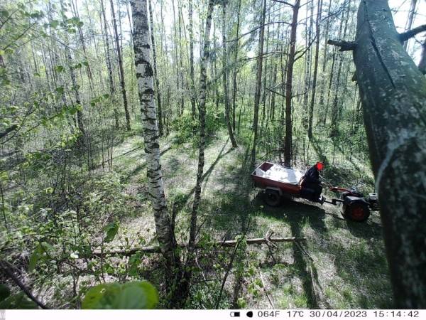 Житель Лунинецкого района съездил в лес и «насобирал» кучу административных статей Житель Лунинецкого района съездил в лес и «насобирал» кучу административных статей