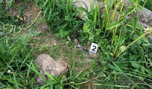 Версия о пале травы не подтвердилась. Следователи установили, что пенсионерку поджог сожитель Версия о пале травы не подтвердилась. Следователи установили, что пенсионерку поджог сожитель