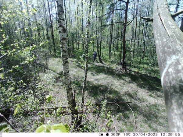 Житель Лунинецкого района съездил в лес и «насобирал» кучу административных статей Житель Лунинецкого района съездил в лес и «насобирал» кучу административных статей