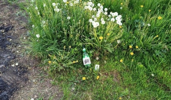 Версия о пале травы не подтвердилась. Следователи установили, что пенсионерку поджог сожитель Версия о пале травы не подтвердилась. Следователи установили, что пенсионерку поджог сожитель