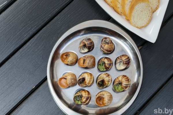 Фотофакт. Как в Беларуси семья выращивает улиток Фотофакт. Как в Беларуси семья выращивает улиток