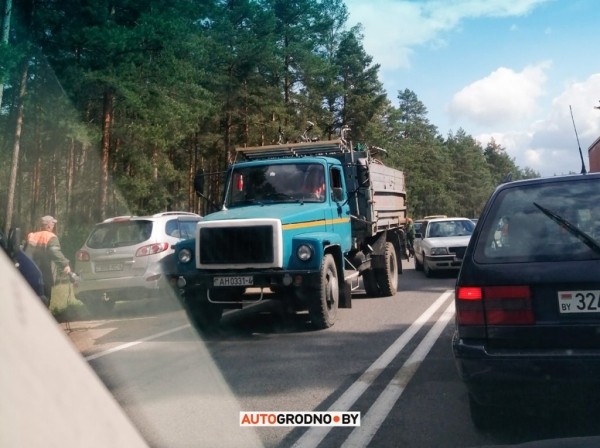 Из-под границы в Привалке увезли десятки велосипедов, пристегнутых к деревьям и столбам