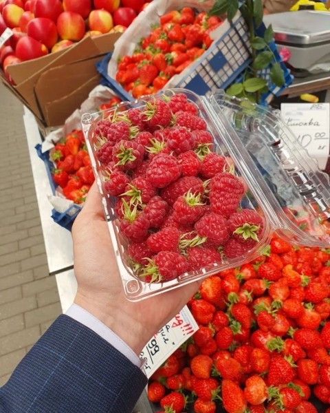 Это что-то на богатом? Появилась первая малина из Брестской области