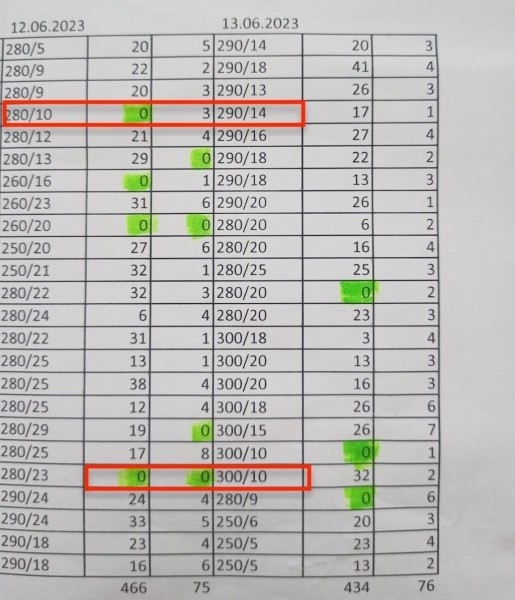 «Одни по 20 часов стоят, другие за ночь $500 делают». Репортаж из пункта пропуска «Брест — Тересполь»