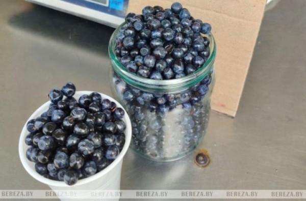На рынке в Березе появилась черника. Почем?