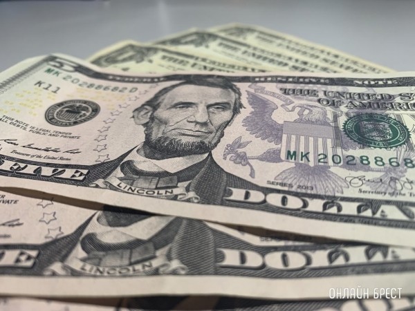 В Бресте заключили под стражу иностранца за попытку ввезти без декларирования $42,5 тыс. В Бресте заключили под стражу иностранца за попытку ввезти без декларирования $42,5 тыс.