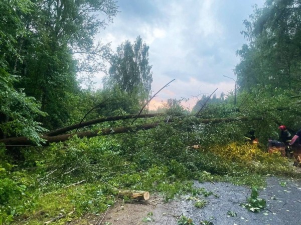 В Минском районе в результате урагана погибла девушка В Минском районе в результате урагана погибла девушка