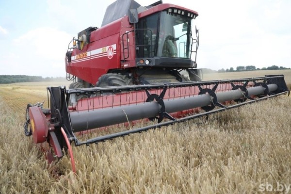 Брестская область закупила к жатве 190 новых зерноуборочных комбайнов