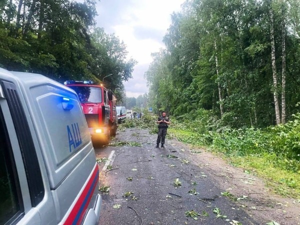 В Минском районе в результате урагана погибла девушка В Минском районе в результате урагана погибла девушка