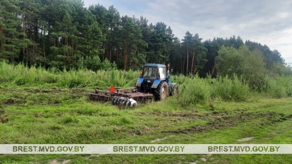 В Ивановском районе уничтожено около 500 килограмм дикорастущей конопли В Ивановском районе уничтожено около 500 килограмм дикорастущей конопли
