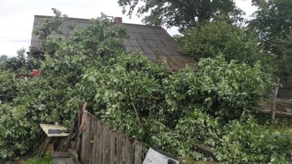 В МЧС рассказали, что натворила непогода в Брестской области