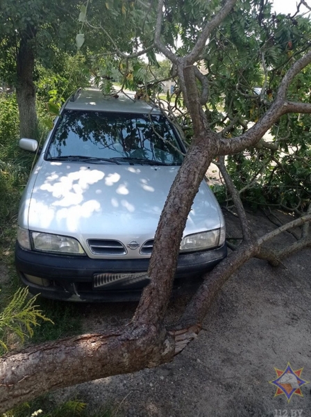 В МЧС рассказали, что натворила непогода в Брестской области