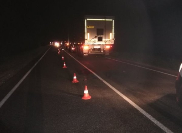 Смертельное ДТП в Новогрудском районе: житель Барановичей ночью наехал на лежащего на дороге человека