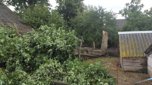 В МЧС рассказали, что натворила непогода в Брестской области