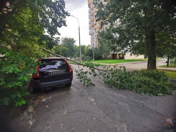 В МЧС рассказали, что натворила непогода в Брестской области