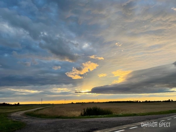 В Бресте и области на завтра объявлен оранжевый уровень: жара, грозы