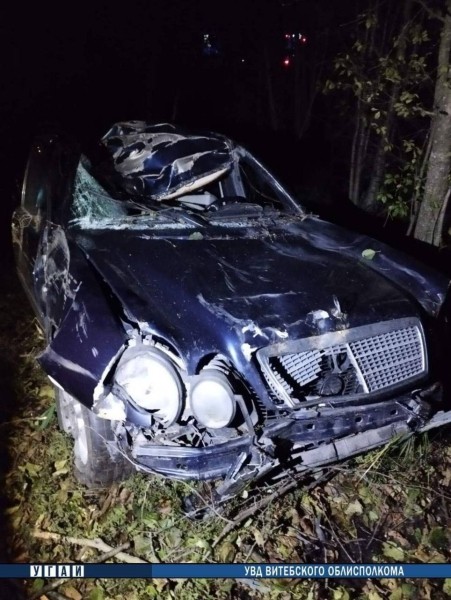 Под Витебском Mercedes&nbsp;столкнулся с диким животным