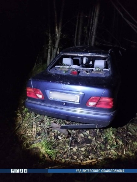 Под Витебском Mercedes&nbsp;столкнулся с диким животным