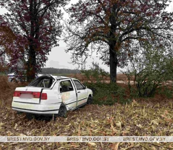 ДТП в Жабинковском районе: водитель не справился с управлением автомобиля и врезался в дерево