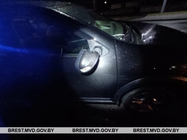 В Бресте сбили пьяного пешехода В Бресте сбили пьяного пешехода