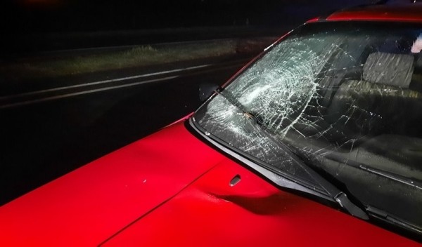 За прошедшую декаду октября в Брестской области в результате ДТП погибли два человека, а пятеро получили тяжкие телесные повреждения, в том числе один ребенок За прошедшую декаду октября в Брестской области в результате ДТП погибли два человека, а пятеро получили тяжкие телесные повреждения, в том числе один ребенок