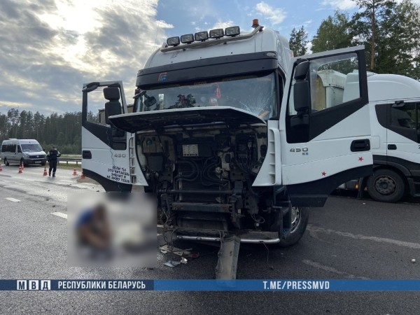 Водитель Iveco смертельно травмировал 4-летнюю дочь. Вынесен приговор Водитель Iveco смертельно травмировал 4-летнюю дочь. Вынесен приговор