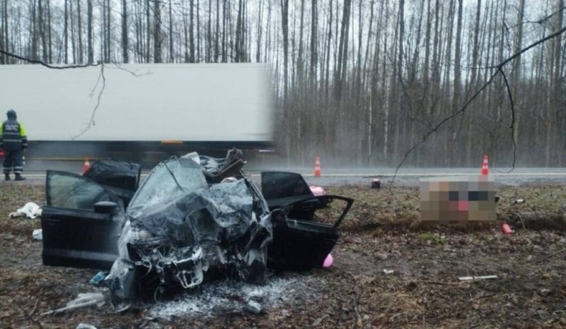 
												Один человек погиб и трое госпитализировано после ДТП с лосем в Добрушском районе
											