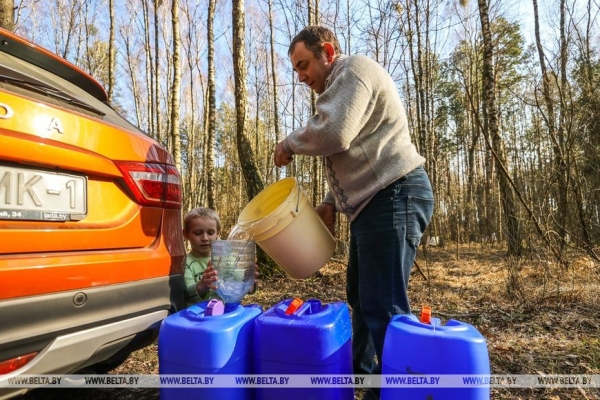 Назвали стоимость березового сока в Брестской области