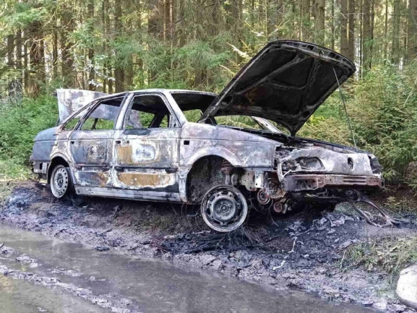 Угнанный Passat нашли сгоревшим в лесу в Витебской области