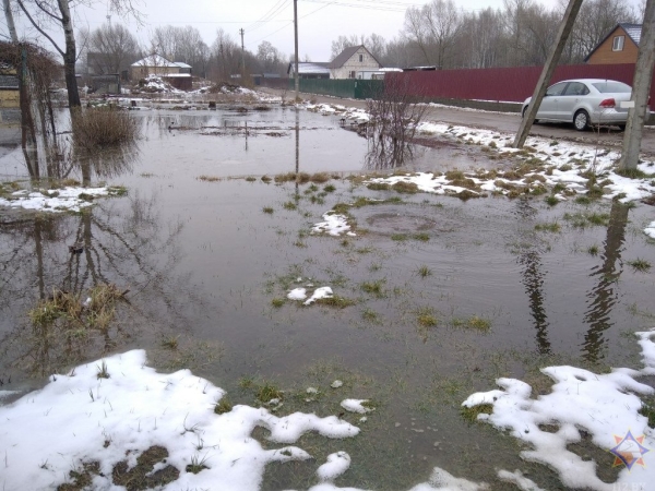 Подтопления более 100 дачных участков в Бресте Подтопления более 100 дачных участков в Бресте