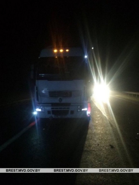 Два пьяных пешехода попали под колеса автомобилей в Брестской области