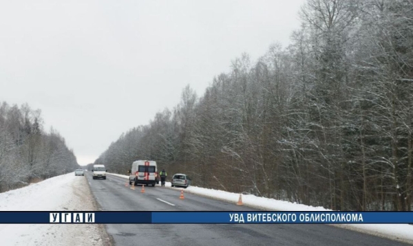 В Витебской области автомобиль сбил лося В Витебской области автомобиль сбил лося