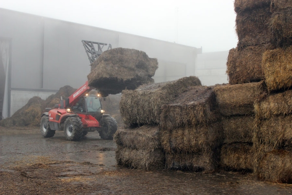 Комплекс по выращиванию грибниц в Кобринском районе замещает импорт и закрывает более половины потребностей внутреннего рынка Комплекс по выращиванию грибниц в Кобринском районе замещает импорт и закрывает более половины потребностей внутреннего рынка
