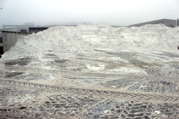 Комплекс по выращиванию грибниц в Кобринском районе замещает импорт и закрывает более половины потребностей внутреннего рынка Комплекс по выращиванию грибниц в Кобринском районе замещает импорт и закрывает более половины потребностей внутреннего рынка