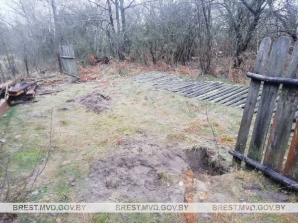 Серийный вор задержан в Брестской области